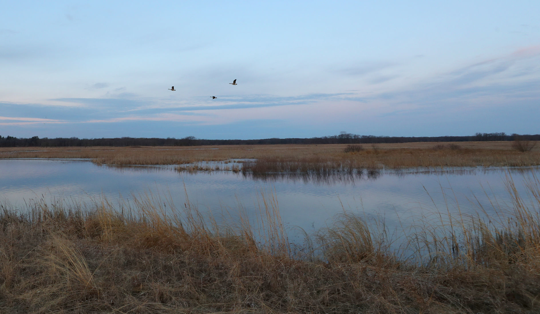 032120bp-wild-art-sweet-marsh-03